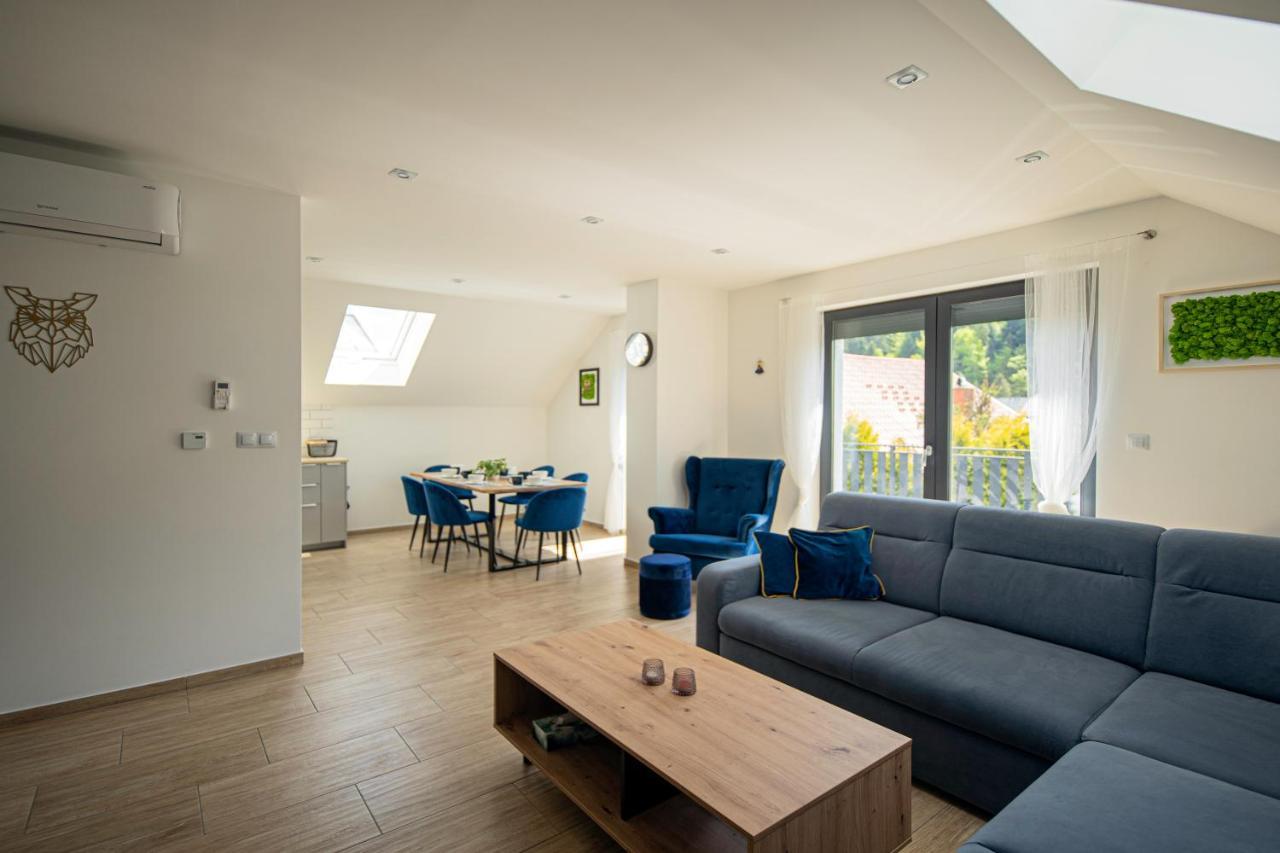 Apartament Na Borach II Spa Szczyrk Extérieur photo